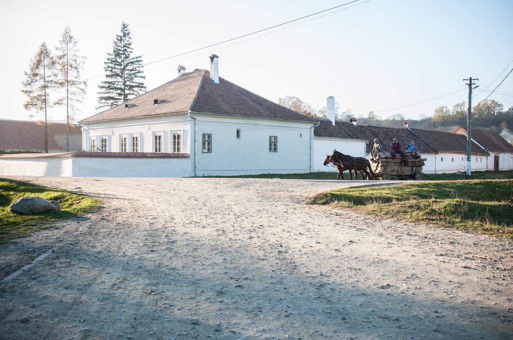 Transylvania Guesthouses Cincsor Экстерьер фото